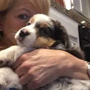 Meet your Posher, Karen